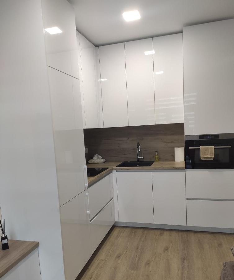 Apartment Ainiai Panevezys Luaran gambar